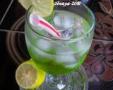 Foto langkah ke 5 dari resep Green Melon Squash dinginnya Segeeeeeer.
