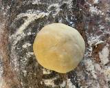 Mince Pies Pastry RecipeVegan friendly recipe step 6 photo