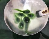 Foto langkah ke 3 dari resep Cendol Kecebong.
