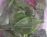 Foto del paso 2 de la receta: Aceite de albahaca casero