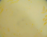 Foto langkah ke 1 dari resep Potato wedges.