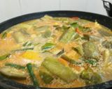 Foto langkah ke 5 dari resep Sayur Lodeh Terong Hijau.