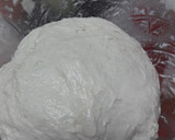 Foto del paso 7 de la receta: Pan sin amasar, fermentación lenta y alta hidratación