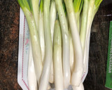 Foto del paso 1 de la receta: Calçots o cebolla tierna en Lékué con salsa romesco