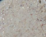 ওটস নলেন গুড়ের পায়েস (Oats Nalen Gurer Payes Recipe in Bengali) রেসিপি ধাপ - 3 ছবি