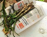 Foto del paso 6 de la receta: Calçotada