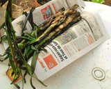 Foto del paso 6 de la receta: Calçotada
