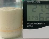 Foto langkah ke 1 dari resep Spekuk Craisin Sourdough Bread.