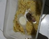 Foto langkah ke 6 dari resep Perkedel kentang enak anti pecah 🥔🥔🥔🤤.