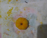 Foto del paso 20 de la receta: Pastel de calabaza sobre cama de cacao y nuez