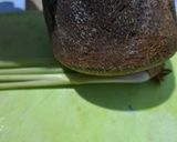 Foto langkah ke 1 dari resep Nasi Gurih Bunga Telang.