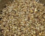 Foto del paso 2 de la receta: Guiso de lentejas