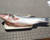 Foto del paso 2 de la receta: Lubina a la brasa con mazorcas