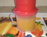 નેચરલ ઓરેંજ જ્યુસ (Orange Juice Recipe in Gujarati) રેસીપી સ્ટેપ3ફોટો
