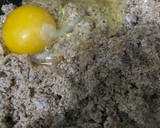 Foto del paso 1 de la receta: Galletas especiadas low carb, aptas keto y además súper tiernas y ricas!