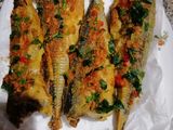 سمك محمر