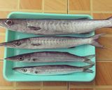 Foto langkah ke 7 dari resep Bakso ikan homemade.