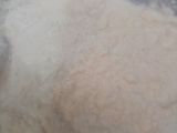 Susu Kacang Mede