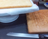 Foto del paso 7 de la receta: Tarta San Marcos gigante