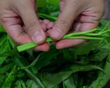 Foto langkah ke 1 dari resep Kangkung Belacan.