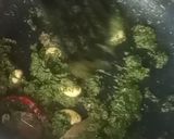 A picture of step 3 of Mint Rice.