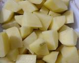 Aloo Qeema recipe step 1 photo