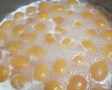 Foto del paso 4 de la receta: Conserva vegana de kinotos 2025
