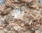 A picture of step 5 of Creamy Garlic Mushrooms.