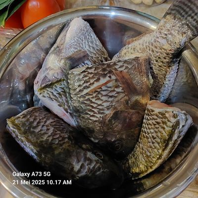 Langkah 2