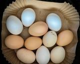 Foto del paso 2 de la receta Ensalada de langostinos al ajillo con patata y huevo duro