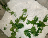 A picture of step 2 of Turkish flat bread(Bazlama).