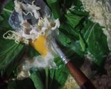 Foto langkah ke 4 dari resep Warmindo.