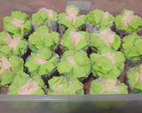 Foto langkah ke 6 dari resep Bolu kukus mekar anti gagal.