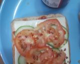 स्पाइसी सैंडविच(SPICY SANDWICH RECIPE IN HINDI) रेसिपी चरण 2 फोटो