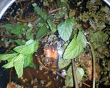 A picture of step 2 of Tamarind juice.