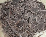 ওয়ালনাট চকোলেট (walnut chocolate recipe in Bengali) রেসিপির ধাপ 1 ছবি