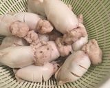 รูปขั้นตอนการทำที่ 2 ของ หมึกยัดไส้หมูสับผัดพริก 😂
