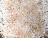 A picture of step 4 of Cumin seeds sago.