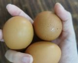 Foto langkah ke 2 dari resep Telur Dadar Anak Pasti Suka.