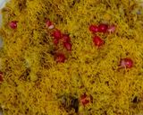 ભેળ (Bhel Recipe In Gujarati) રેસીપી સ્ટેપ4ફોટો