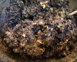 A picture of step 3 of Black Bean and Cashew Burger.