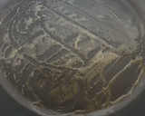 Foto del paso 4 de la receta: Pancakes con coulis de fresa