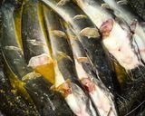 Foto langkah ke 1 dari resep Ikan Lele Bumbu Rujak.