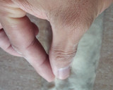 Foto del paso 4 de la receta: El pan de la vida ♻️