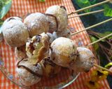 Foto langkah ke 4 dari resep Sate Bola Peyeum (Tape singkong).
