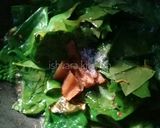 Foto langkah ke 3 dari resep Lodeh tempe gembus daun melinjo.