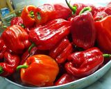 صورة لخطوة 1 من وصفة #المكدوس عالطريقة السورية(الباذنجان)