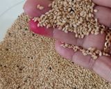 પીનટ ચિક્કી (Peanut Chikki Recipe In Gujarati) રેસીપી સ્ટેપ1ફોટો