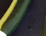 Foto del paso 1 de la receta: Bizcocho de Calabacín