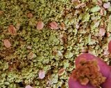 A picture of step 14 of Delightful Tiranga Dessert.